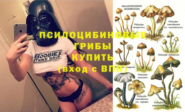 ПСИЛОЦИБИНОВЫЕ ГРИБЫ Абаза