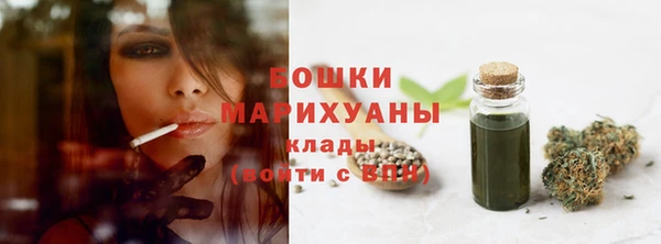 ПСИЛОЦИБИНОВЫЕ ГРИБЫ Абаза