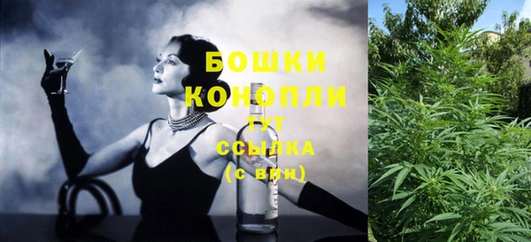 ПСИЛОЦИБИНОВЫЕ ГРИБЫ Абаза