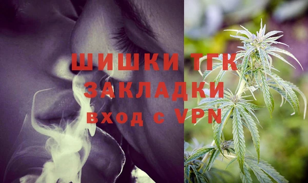 ПСИЛОЦИБИНОВЫЕ ГРИБЫ Абаза
