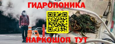 прущая мука Гудермес