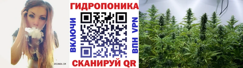 Бошки Шишки THC 21% Липецк